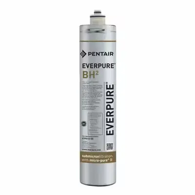 EV961250-Cartucho de Reemplazo Everpure BH²