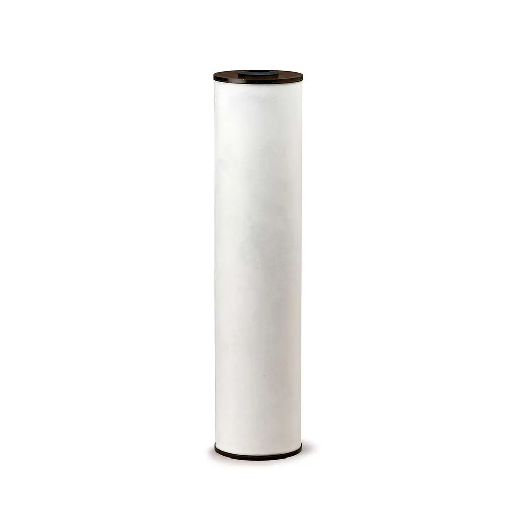 [155263-43] Pentek RFFE20-BB 155263-43 | Cartucho Big Blue para Reducción de Hierro Disuelto