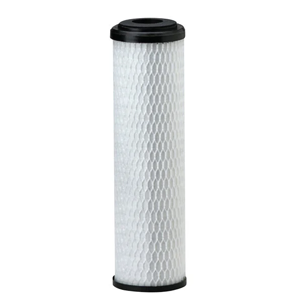 Cartucho Everpure EV9108-15 CG5-10 de Carbón Activado 5 Micras para Foodservice
