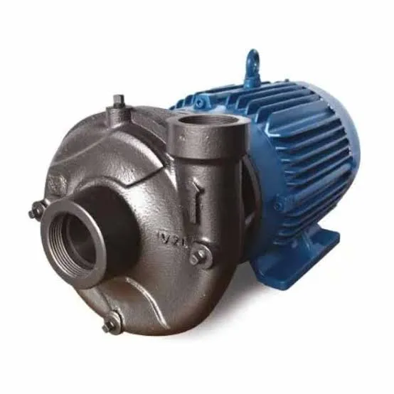 Motobomba Centrífuga VERTEX V1 1/2L V11211K 7.5 HP 230/460V Trifásica