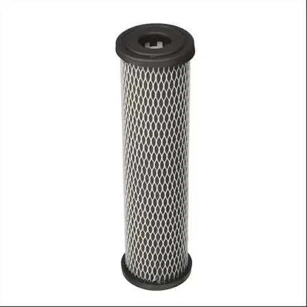 Filtro Pentek C1 155002-43 Carbón Activado 10" 5 Micras